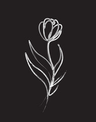 Obraz premium Tulip flower brush painting art illustration. Tulip flower doodle art painting.