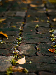 Autumn Curved Brick Pathway Background - Winding Stone Walkway Design for Creative.