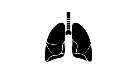 Human lung silhouette anatomy medical healthcare