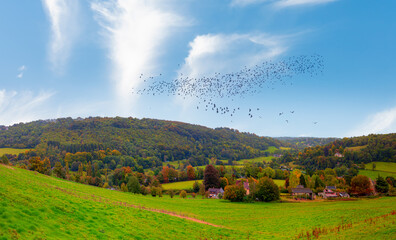 Fototapety na wymiar - Fototapeta24.pl
