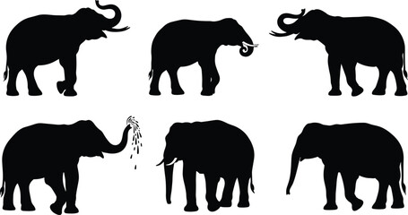 Elephant silhouette vector set, wildlife animal poses, trunk movement, black icons, nature behavior, CAD drawing flat vector illustration