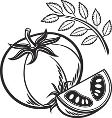 hand drawn vector illustration of a tomato