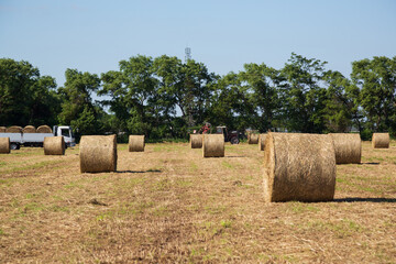 秋の羊蹄山山麓