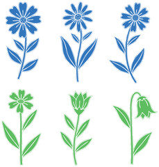 Blue and green wildflowers, hand drawn botanicals, vector floral set elements