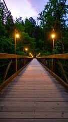Fototapeta premium Wooden bridge at twilight