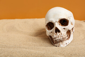 Human skull on sand against orange background