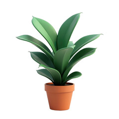 Lush green plant with large, glossy leaves, housed in a terracotta pot, set against a stark black background, creating a striking contrast.