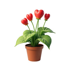 Decorative plant features vibrant red heart-shaped blooms, complemented by lush green leaves. The indoor potted plant sits within a terracotta-colored pot set against a stark black background.