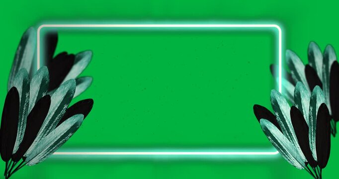 Animation of green tropical leaves with yellow green frame on transparent background
