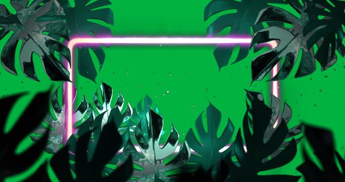Animation of green tropical leaves with pink neon frame on transparent background