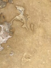 Dettaglio di pietra