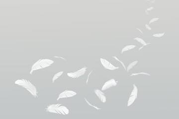 Many White Bird Feathers Floating in The Air. Fluffy Downy, Softness of Feathers floating in Heavenly.	
