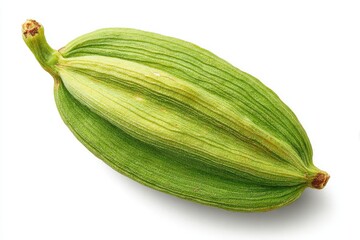 Close Up Of Green Spice Seed