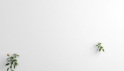 Obraz premium Blank white wall texture, perfect for mockups, pure, background