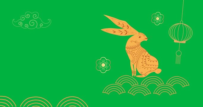 Animation of chinese new year rabbit and gold decorations over transparent background