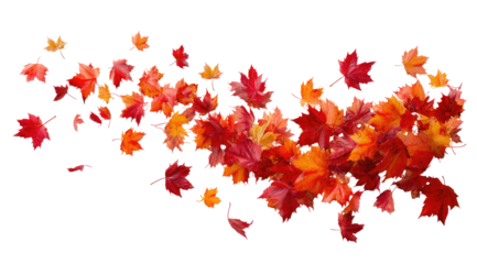 Autumn leaves swirl in a vibrant display