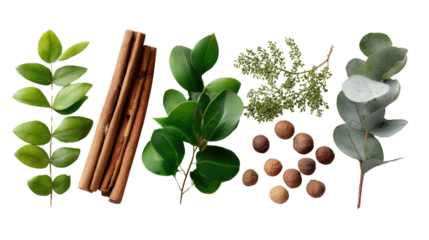 Nature's Aromatics: An artful display of various aromatic natural elements: Leaves, cinnamon sticks, thyme and peppercorns, create a visually appealing collection.