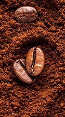 Coffee beans nestled in ground coffee