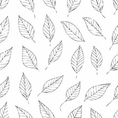 The leaves are black in abstract style design element vector illustration
4