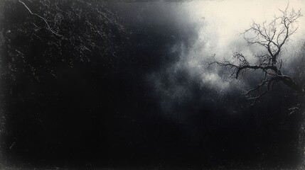 Fototapeta premium Dark and foggy night sky with bare twisted tree branches silhouetted against mist and scattered stars evoking mystery and solitude