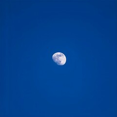 The night sky looked magnificent, decorated with sparkling stars and a bright moon.
