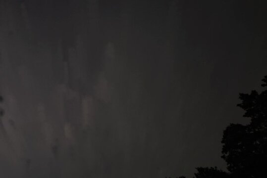 Star-studded night sky with a few trees on the edge, the sky over W&uuml;sting, 27798 Hude, Germany
