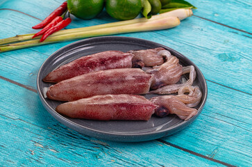 Raw fresh young baby squid