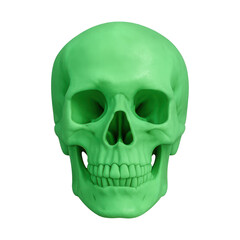 Obraz premium A photo realistic isolated cut-out of a [glow-in-the-dark skull], high-resolution, no background, no border, natural lighting, transparent background, no background, no shadow
