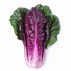 Obraz premium Fresh organic purple cabbage head isolated on a clean white background