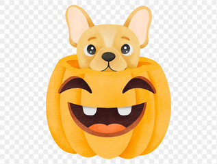 Cute dog inside pumpkin kawaii spooky Halloween festive Vector.