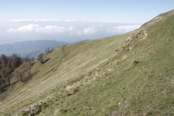path to the mountains © Feyruz