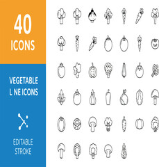 40 Vegetable Line Icons Set – Editable Stroke Vector Illustration