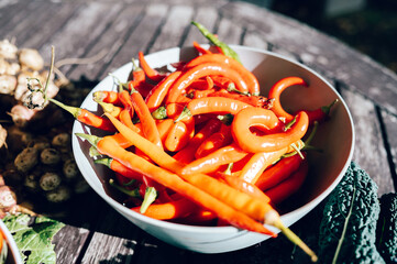 Red Chilies on a White Plate — Fresh and Spicy Harvest