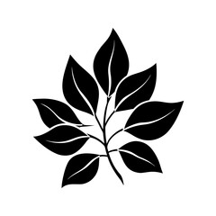 vector illustration of a leaf