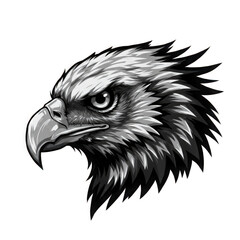 Obraz premium Eagle Head Black and White Illustration