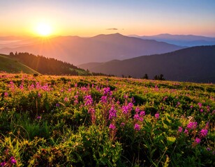 Fototapeta premium Sunrise over mountain meadow filled with vibrant wildflowers