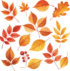 Obraz premium Collection of autumn fall leaves in warm orange red and yellow tones seasonal decor