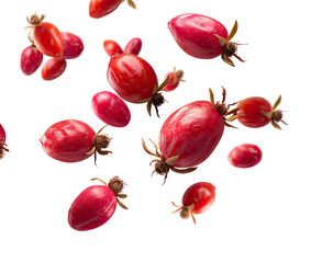 Red rose hips in mid-air, vibrant against transparent background