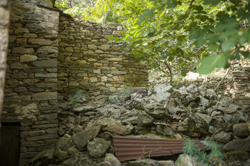Obraz premium old stone wall with ivy