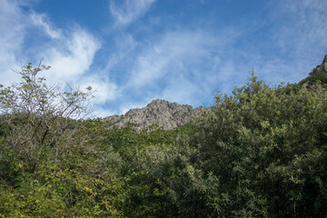 clouds in the mountains