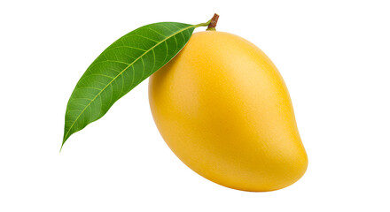 Fresh Yellow Mango with Green Leaf on White Background