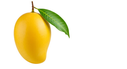 Yellow Mango with Green Leaf on White Background Fresh Fruit