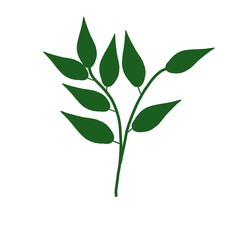 Botanical graphic Natural element, Stylized green leave on branch illustration Hand-drawn art