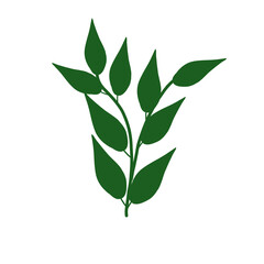 Stylized green leave on branch illustration Hand-drawn art, Botanical graphic Natural element
