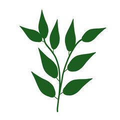 Stylized green leave on branch illustration Hand-drawn art, Natural Botanical graphic element