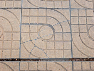 Damaged Park Walkway Tile with Crack.