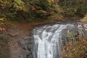 秋色に染まる渓流