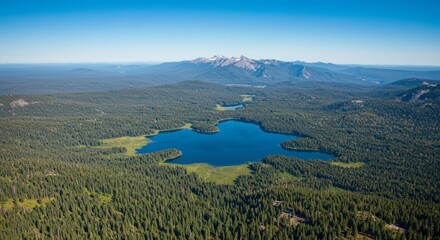 Aerial view of a serene lake surrounded by lush forest under a clear blue sky with mountains in the distance