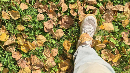 A woman's foot in a white sneaker is walking on fallen leaves and grass. Top view.
