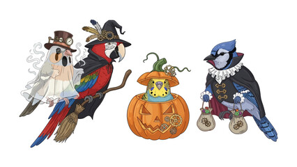 Avian Halloween Festivities: A whimsical and artistic portrayal of various birds in imaginative Halloween costumes, including a witch, ghost, and vampire, ready to celebrate the spooky season.